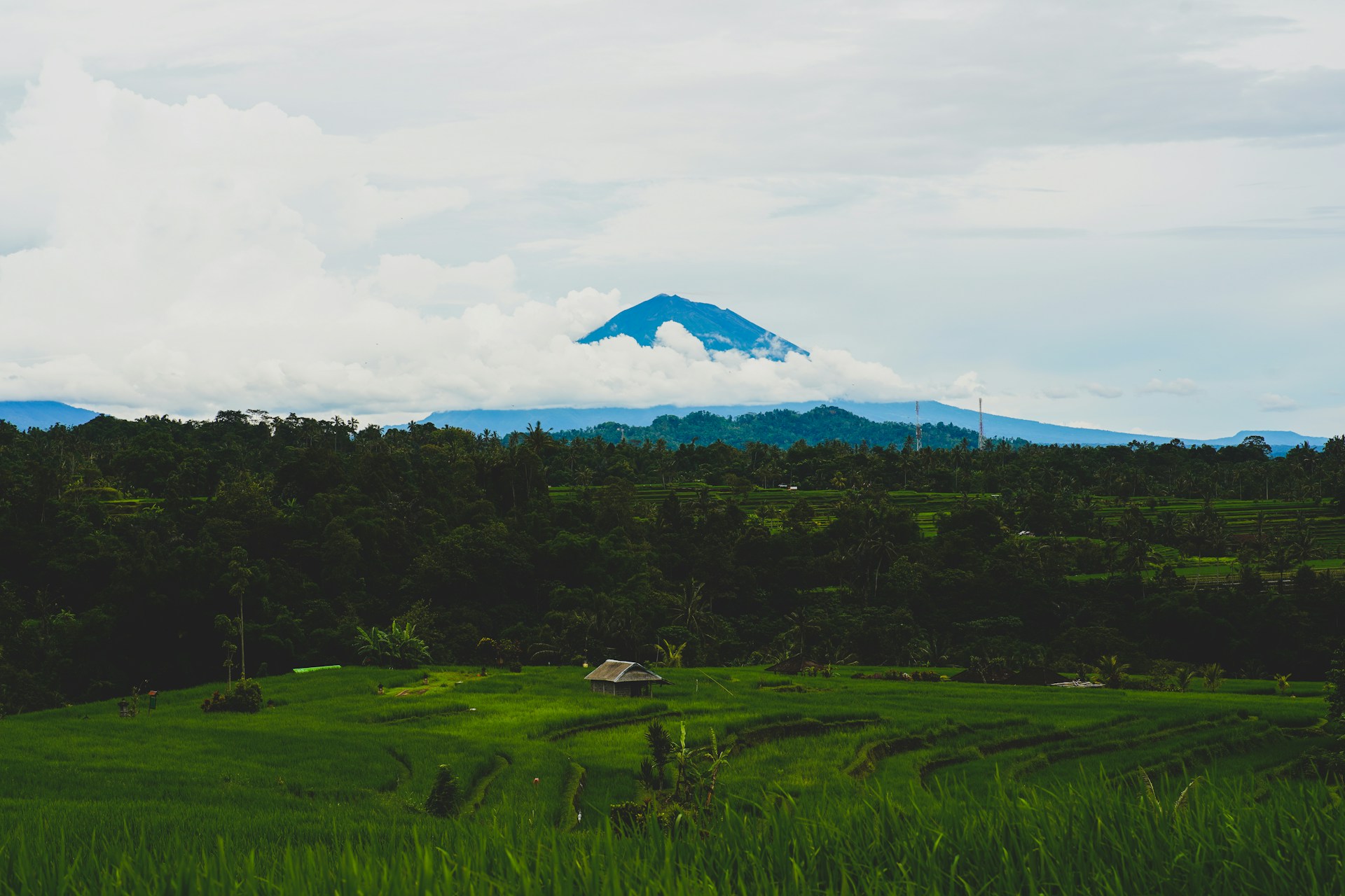 Jatiluwih Rice Terraces